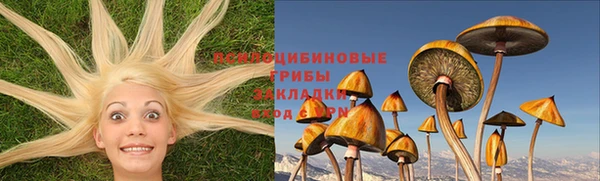 прущий лед Михайловка
