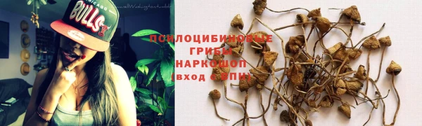 марки lsd Михайловск